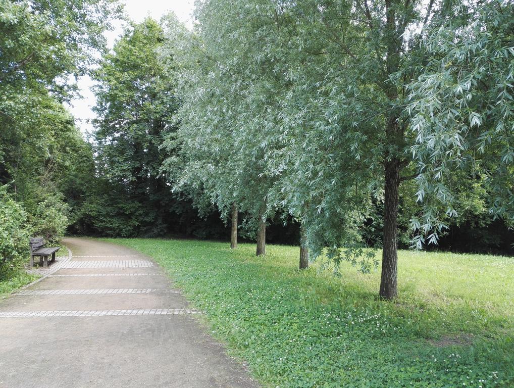 Amsterdam-Einraumwohnung ライプツィヒ エクステリア 写真